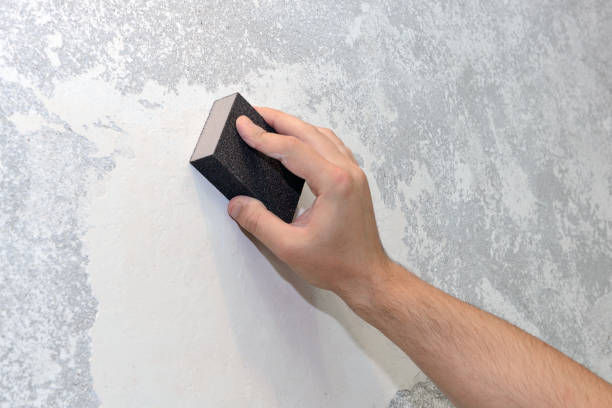 Reliable Hartsville, TN Mold Removal Solutions